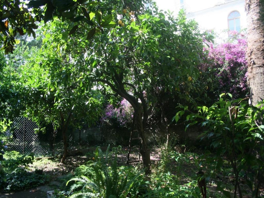 Il Giardino Di Tonia - Oplontis Guest House - Bed & Garden - Torre Annunziata Exterior photo